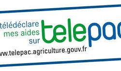 telepac